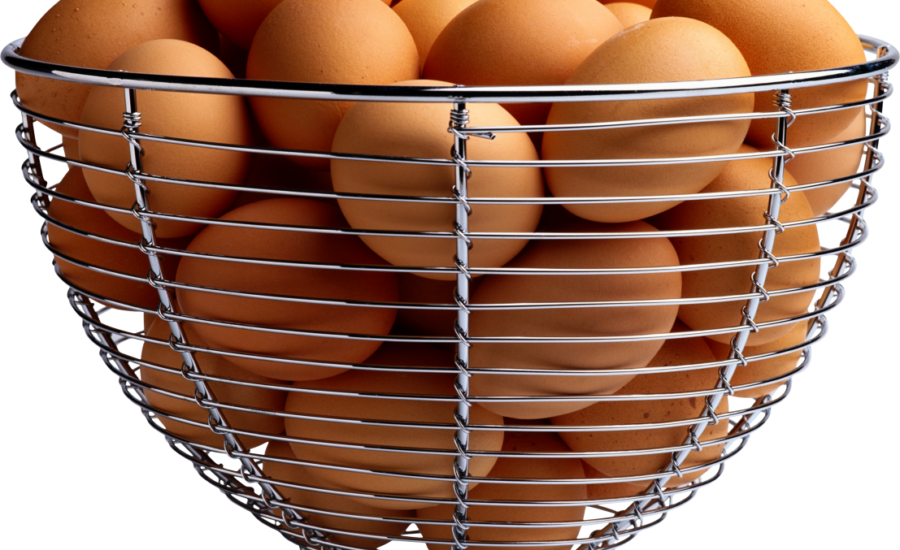 ¿pones todos los huevos en la misma canasta?